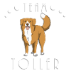 Team Toller