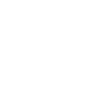 Le punisseur