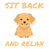 Cute golden retriever