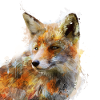 The Cunning Fox