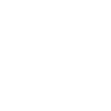 whale polygon