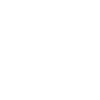 canard