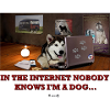 In the internet nobody knows I'm a malamute ...