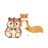hamster