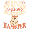 Hamster rodent costume