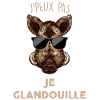 Sanglier humour chasseur