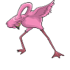 Flamingo Dabbing