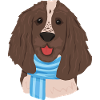 Cute dog with scarf