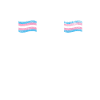Trans Transsexuell