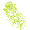 Abstract feather / line / green / pattern