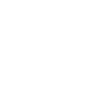 Taurus tattoo bull