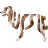 Australian Shepherd Aussie silhouette