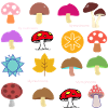 MY MUSHROOMS
