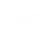 Lotus Flower
