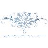 Lotus Blume