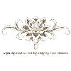 Lotus Blume