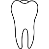 Tooth