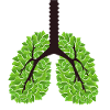 Save the planet green lungs