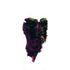 NO1