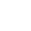 Future Lawyer