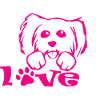Dog Hund