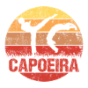 Capoeira martial art sunrise silhouette