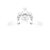 Weightlifting weightlifter barbell