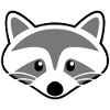 Cute raccoon head