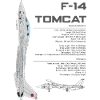 F-14 TOMCAT TG - AS2012