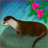loutre