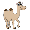 Cute camel