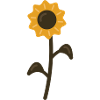 Arabica - sunflower