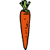 Carrot, New
