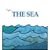 The salty fins - The sea