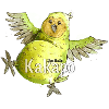 Kakapo Vogel