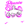 Pleasure western rider