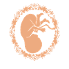 pregnancy