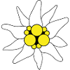 Edelweiss