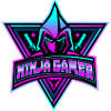 Cool ninja gamer shirt avatar
