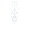 Polygon Eule Gemetrisch
