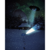 Alien Abduction At The Cabin