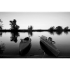 Folding boats