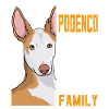 Famille cadeau chien Podenco