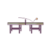 Ping Pong Table
