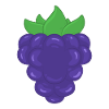 blackberry