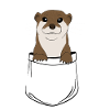 pocket otter