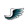 Wings Tattoo