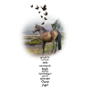 Stallion in a beautiful landscape