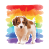 Puppy dog Kooikerhondje