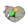 minion cat with parrot